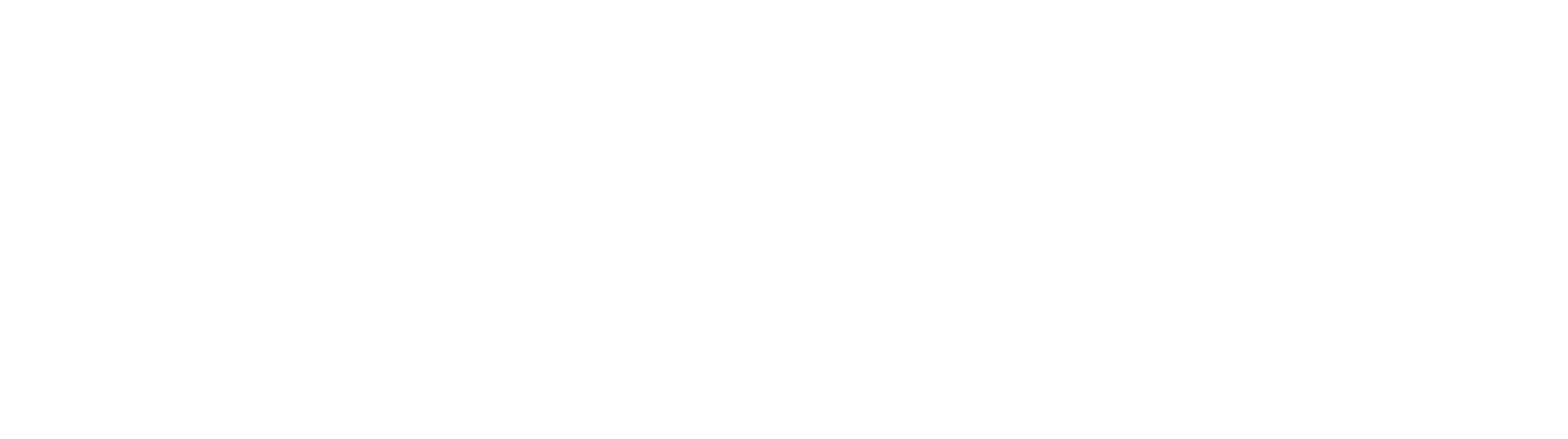 Magnussen Audio