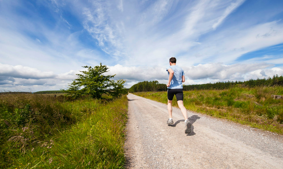Runner on a gravel path through green fields